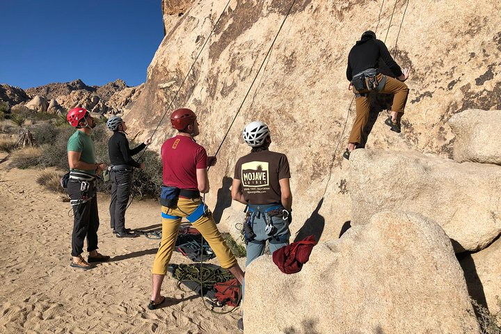 Beginner Group Rock Climbing in Joshua Tree National Park - Photo 1 of 8